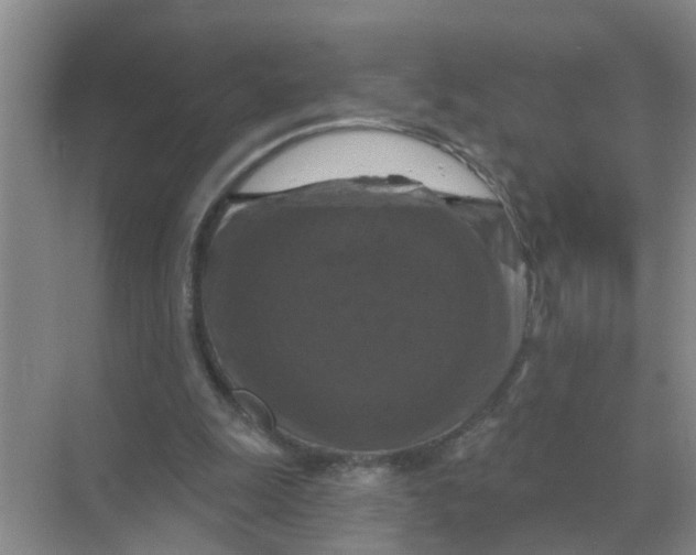 X0000070180247200606162129