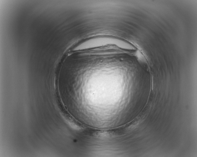 X0000070180253200606162129