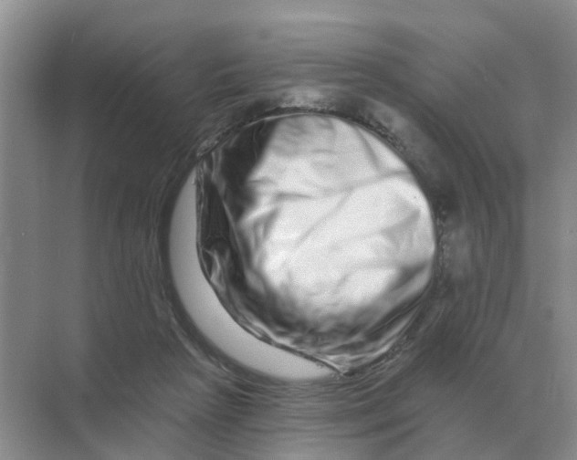 X0000070180265200606162129