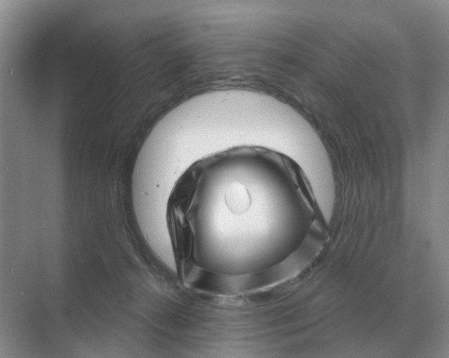 X0000070180272200606162130