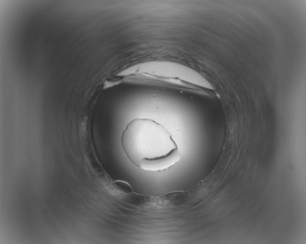 X0000070180278200606162130