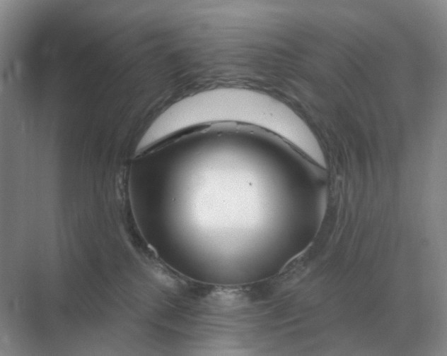 X0000070180280200606162130