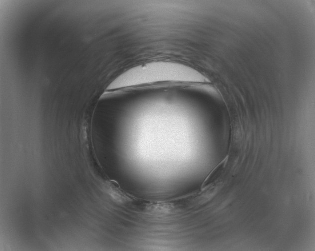 X0000070180282200606162130
