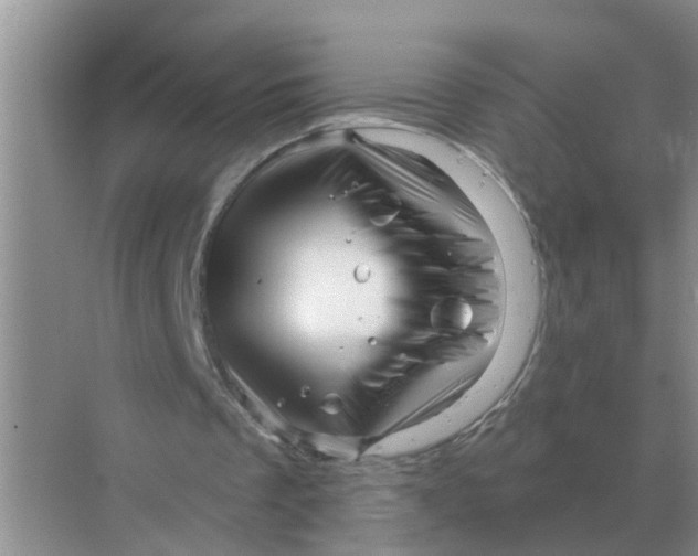 X0000070180289200606162129