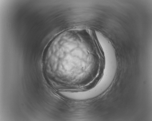 X0000070180290200606162129
