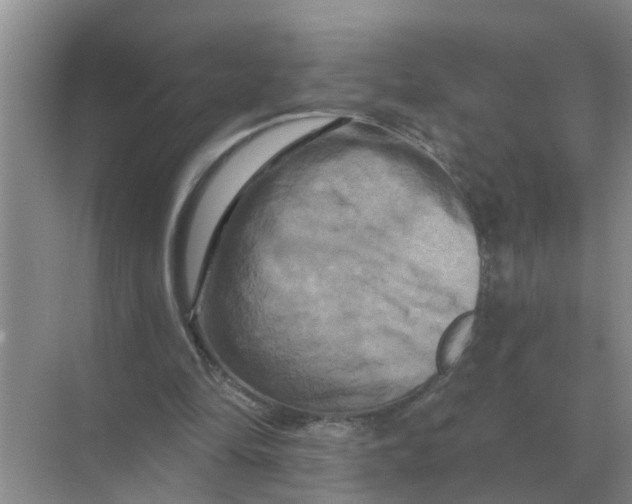 X0000070180294200606162129