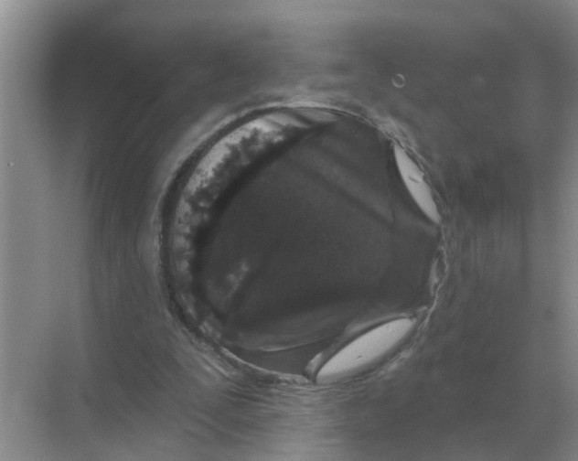 X0000070180295200606162129