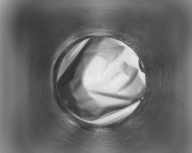 X0000070180296200606162129
