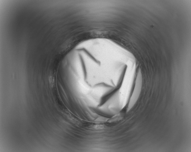 X0000070180324200606162128