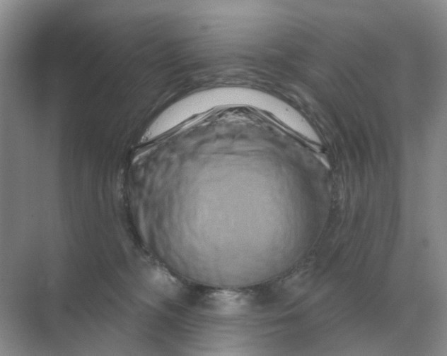 X0000070180326200606162128