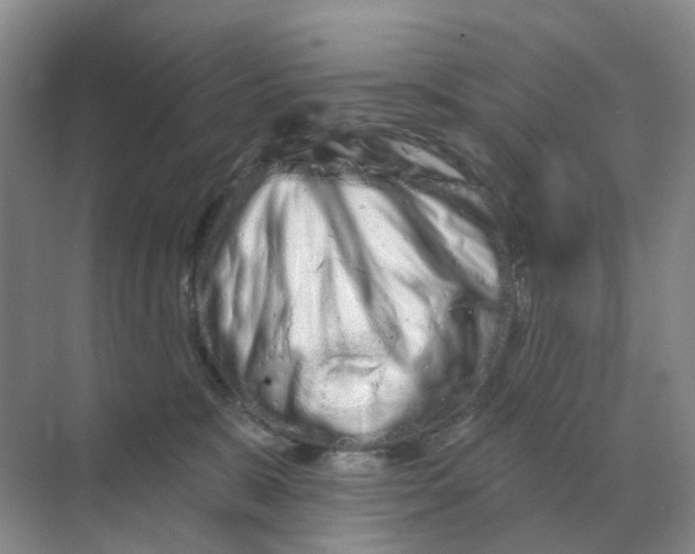 X0000070180327200606162128