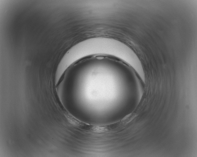 X0000070180333200606162128