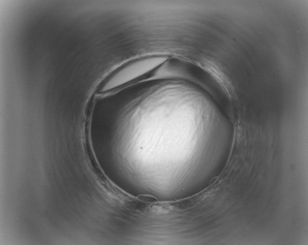 X0000070180346200606162128