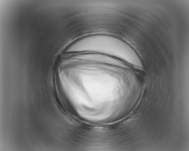 X0000070180347200606162128
