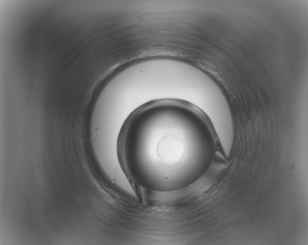 X0000070180352200606162128