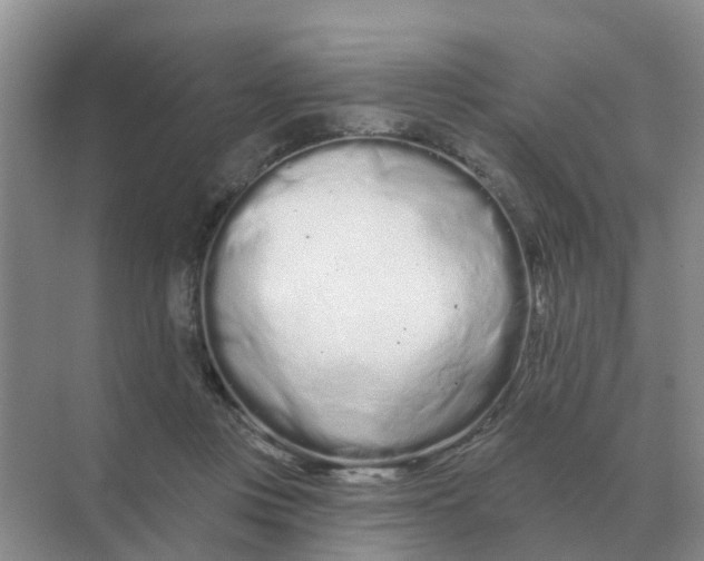 X0000070180359200606162128