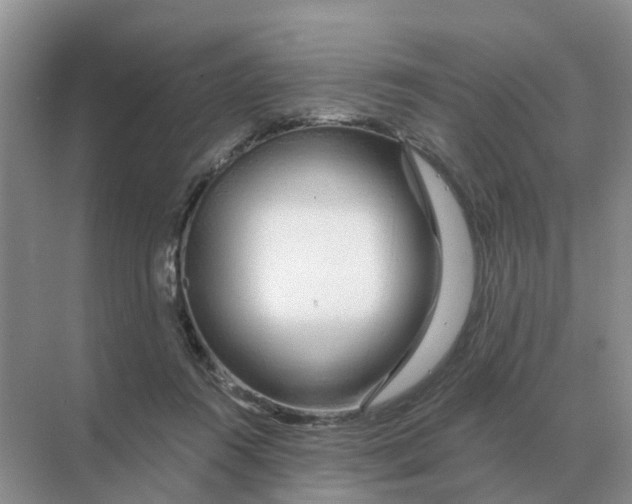 X0000070180360200606162128