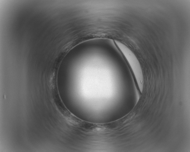 X0000070180364200606162128
