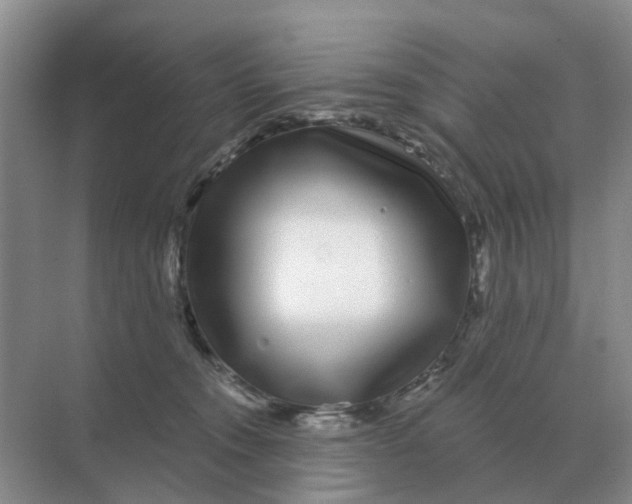 X0000070180372200606162128