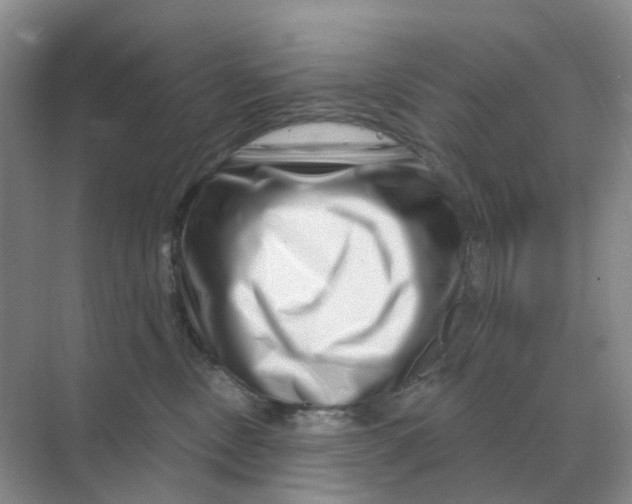X0000070180378200606162128