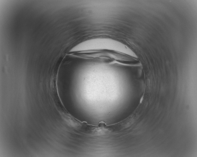 X0000070180379200606162128