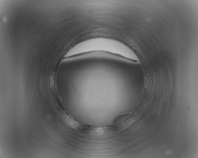 X0000070180382200606162128