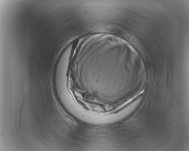 X0000070180386200606162127