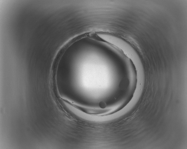 X0000070180388200606162127