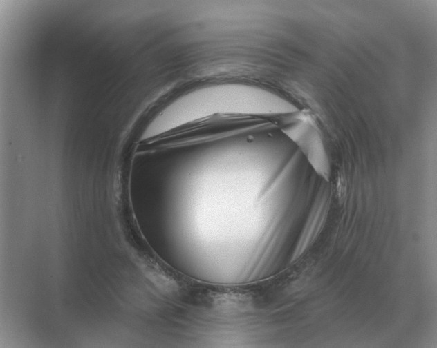 X0000070180400200606162127