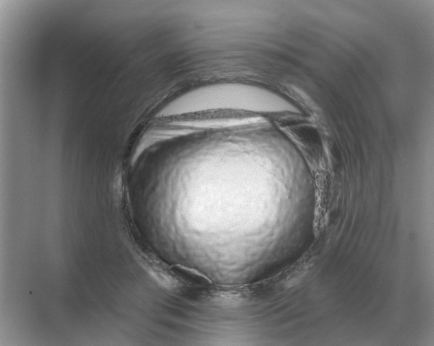 X0000070180405200606162127