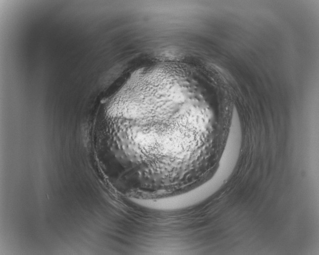 X0000070180409200606162127