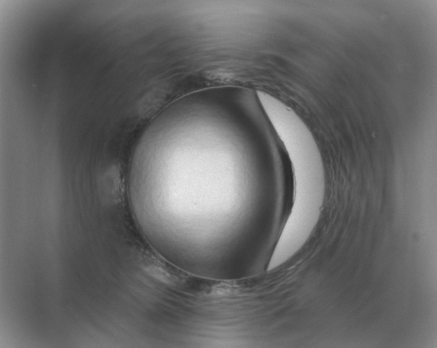 X0000070180420200606162127