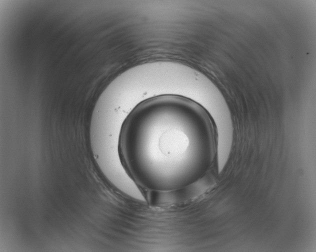 X0000070180423200606162127
