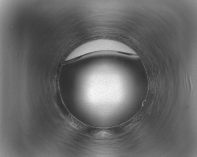 X0000070180460200606162126