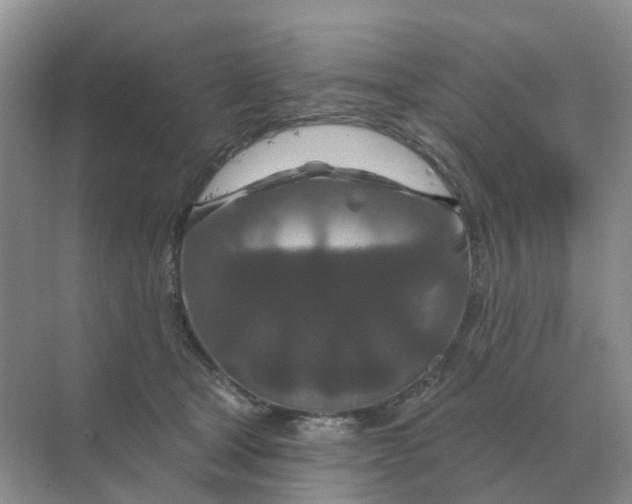 X0000070180465200606162126