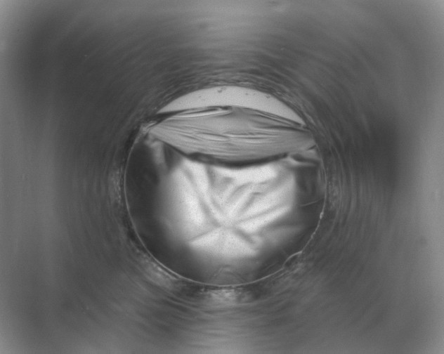 X0000070180473200606162126
