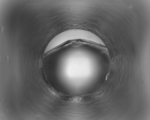 X0000070180474200606162126