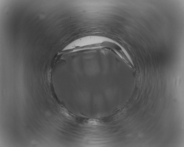 X0000070180475200606162127