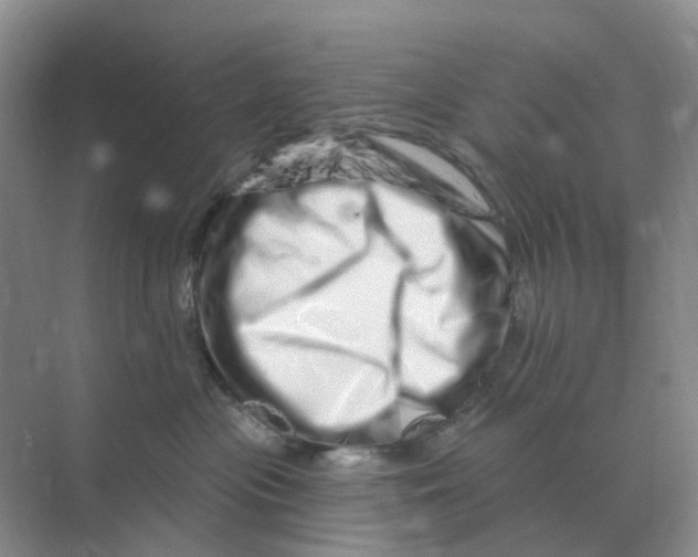 X0000070180477200606162127