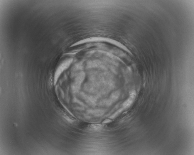 X0000070180479200606162127