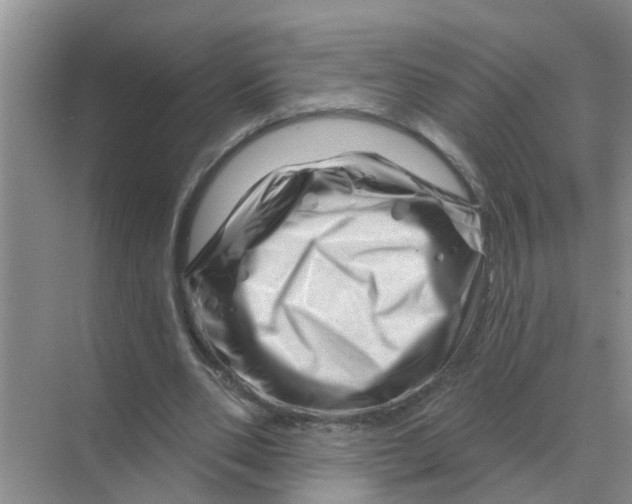 X0000070180486200606162126