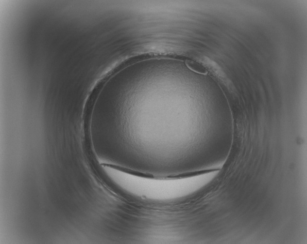 X0000070180488200606162126