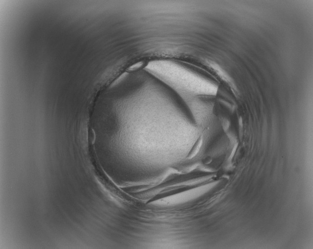 X0000070180493200606162126