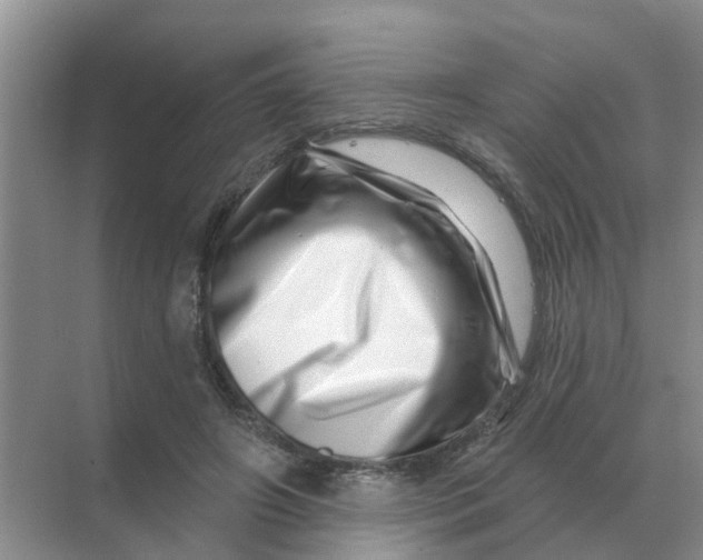 X0000070180498200606162125