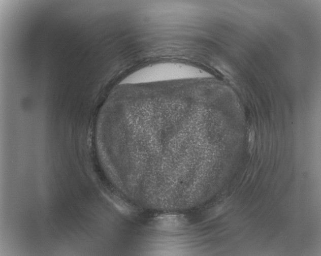 X0000070180499200606162125