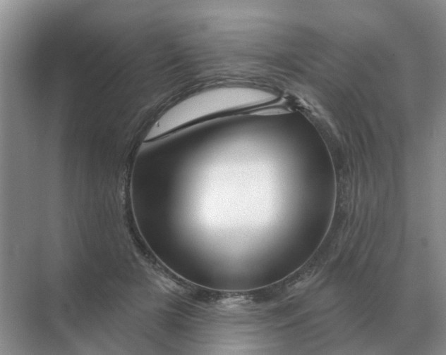 X0000070180505200606162125