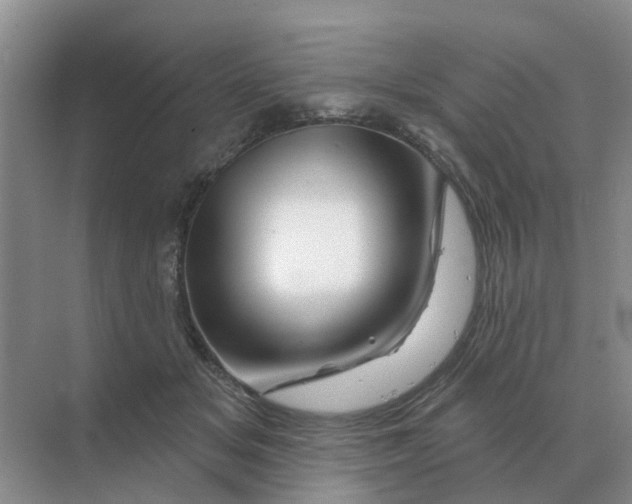X0000070180509200606162125
