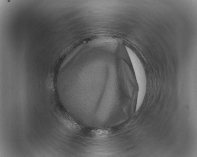 X0000070180512200606162125