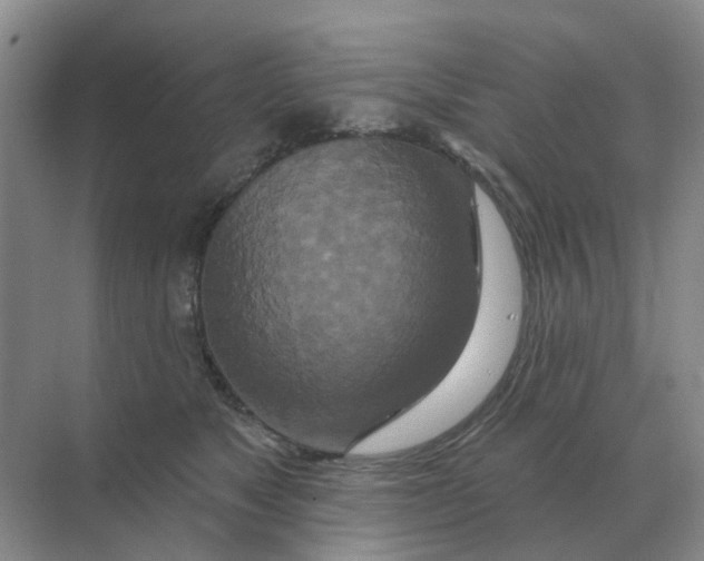 X0000070180517200606162125