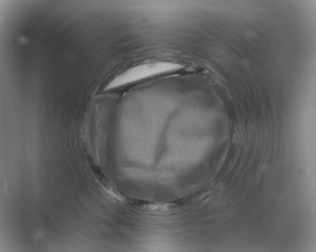 X0000070180524200606162125